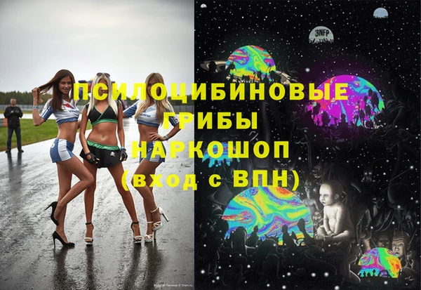 спиды Новокубанск